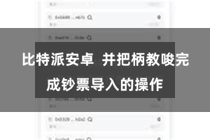 比特派安卓 并把柄教唆完成钞票导入的操作