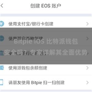 Bitpie iOS 比特派钱包安全吗？专家详解其全面优势