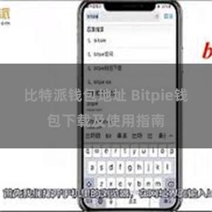 比特派钱包地址 Bitpie钱包下载及使用指南