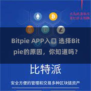 Bitpie APP入口 选择Bitpie的原因，你知道吗？