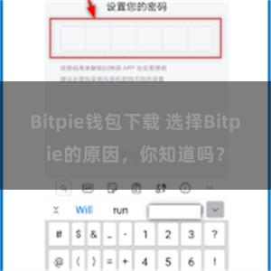 Bitpie钱包下载 选择Bitpie的原因，你知道吗？