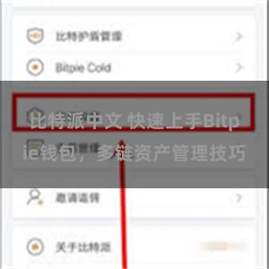 比特派中文 快速上手Bitpie钱包，多链资产管理技巧