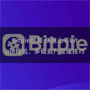 Bitpie教程 快速上手Bitpie钱包，多链资产管理技巧