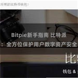 Bitpie新手指南 比特派：全方位保护用户数字资产安全