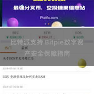 比特派支持 Bitpie数字资产安全保障指南