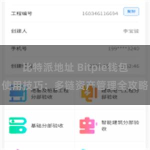 比特派地址 Bitpie钱包使用技巧：多链资产管理全攻略