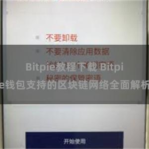 Bitpie教程下载 Bitpie钱包支持的区块链网络全面解析