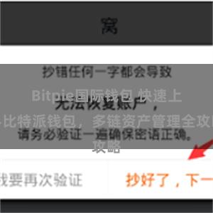 Bitpie国际钱包 快速上手比特派钱包，多链资产管理全攻略