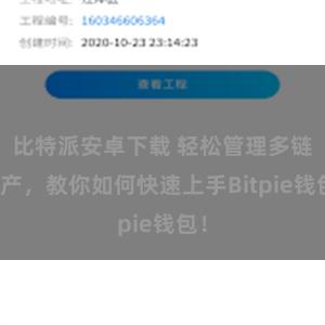 比特派安卓下载 轻松管理多链资产，教你如何快速上手Bitpie钱包！