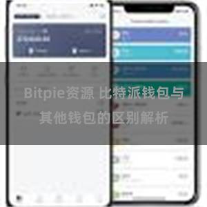 Bitpie资源 比特派钱包与其他钱包的区别解析