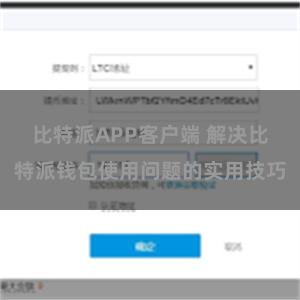 比特派APP客户端 解决比特派钱包使用问题的实用技巧