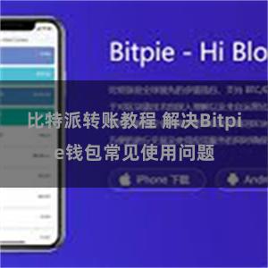 比特派转账教程 解决Bitpie钱包常见使用问题