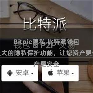 Bitpie隐私 比特派钱包：强大的隐私保护功能，让您资产更安全