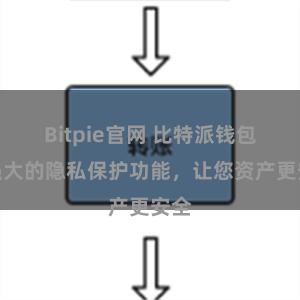 Bitpie官网 比特派钱包：强大的隐私保护功能，让您资产更安全