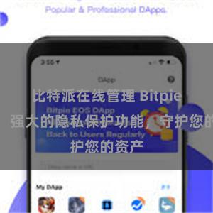 比特派在线管理 Bitpie钱包：强大的隐私保护功能，守护您的资产