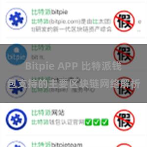 Bitpie APP 比特派钱包支持的主要区块链网络解析