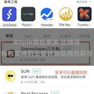 Bitpie钱包安装 比特派钱包支持的主要区块链网络解析