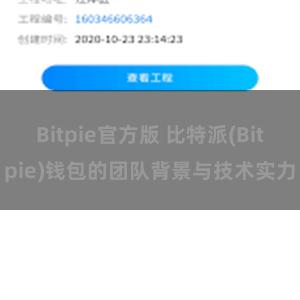 Bitpie官方版 比特派(Bitpie)钱包的团队背景与技术实力