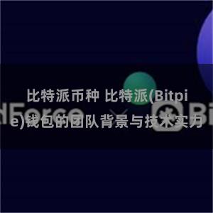 比特派币种 比特派(Bitpie)钱包的团队背景与技术实力