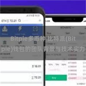 Bitpie多币种 比特派(Bitpie)钱包的团队背景与技术实力