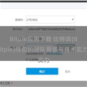 Bitpie应用下载 比特派(Bitpie)钱包的团队背景与技术实力