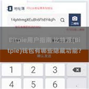 Bitpie用户指南 比特派(Bitpie)钱包有哪些隐藏功能？