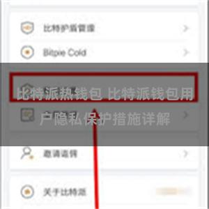 比特派热钱包 比特派钱包用户隐私保护措施详解