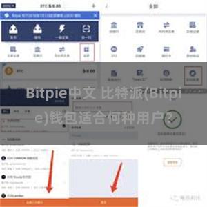 Bitpie中文 比特派(Bitpie)钱包适合何种用户？