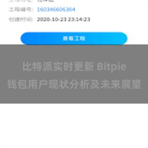 比特派实时更新 Bitpie钱包用户现状分析及未来展望