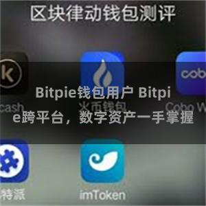 Bitpie钱包用户 Bitpie跨平台，数字资产一手掌握