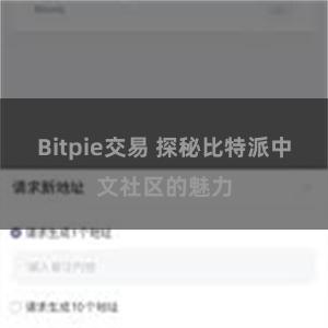 Bitpie交易 探秘比特派中文社区的魅力