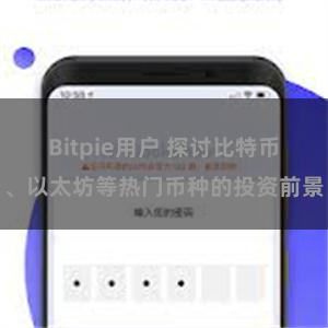 Bitpie用户 探讨比特币、以太坊等热门币种的投资前景