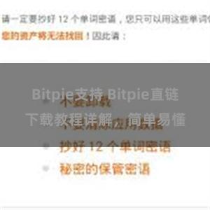 Bitpie支持 Bitpie直链下载教程详解，简单易懂