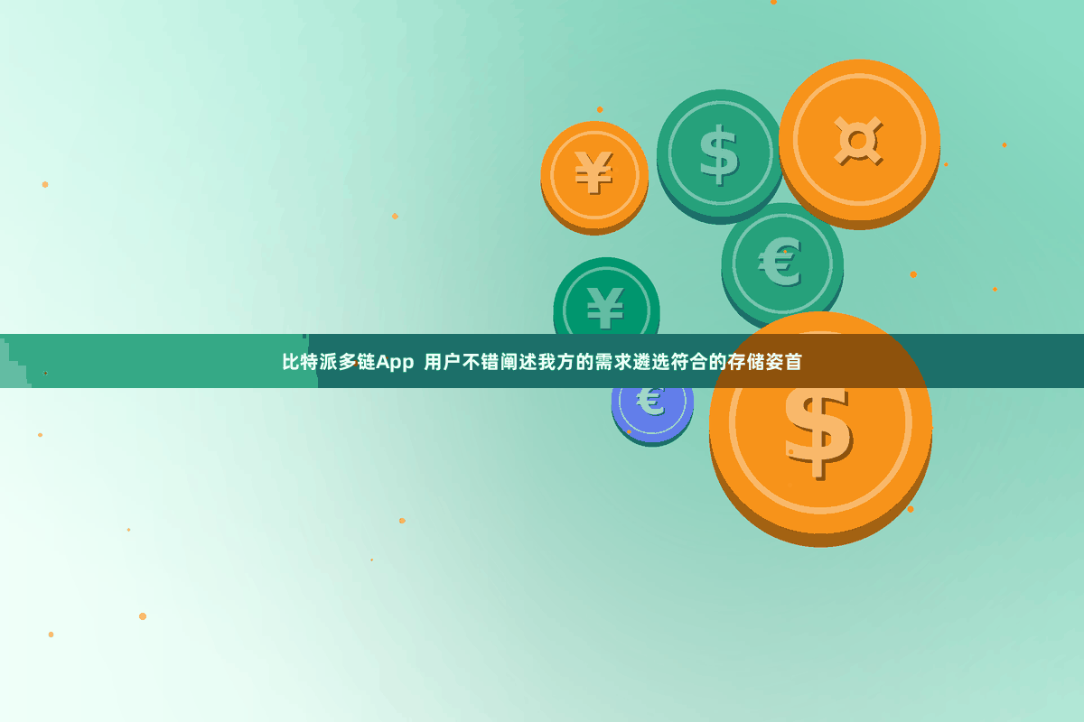 比特派多链App  用户不错阐述我方的需求遴选符合的存储姿首